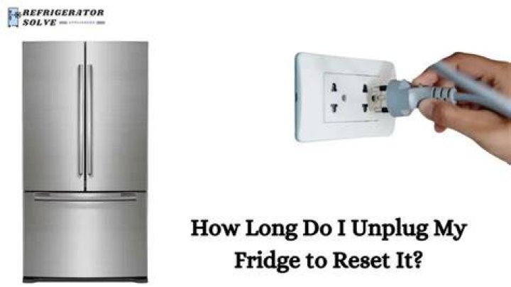 How long do I unplug my fridge to reset it?