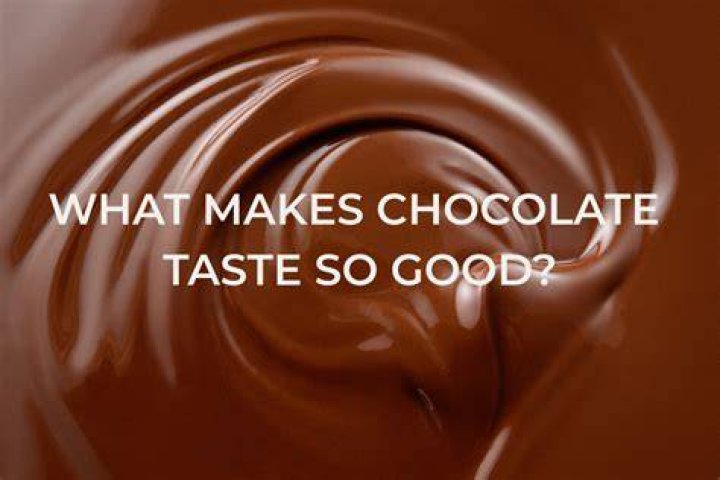 What food makes chocolate?